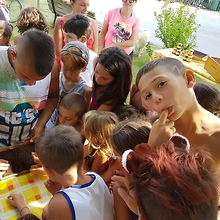 Mobilehome Orione Fuer 5 Personen בית נופש