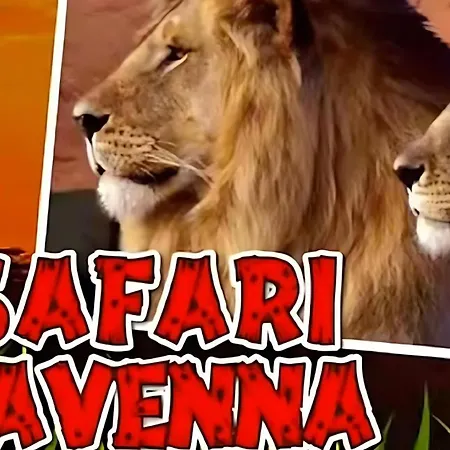 Mobilehome Orione Fuer 5 Personen * צ'סנטיקו